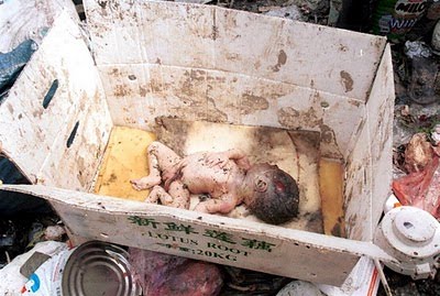 child abandonment facts what happens to abandoned babies